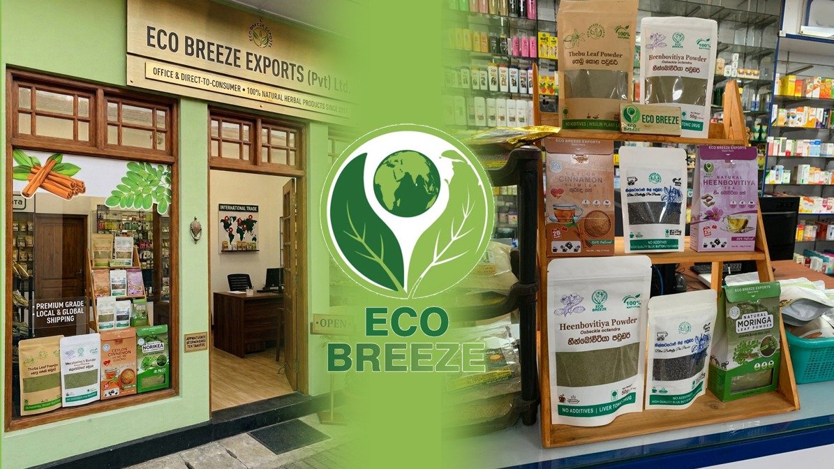 Eco Breeze Office